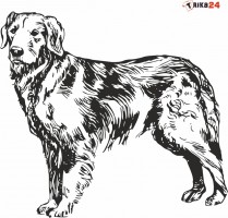 Potisk na textil FLAT COATED RETRIVER